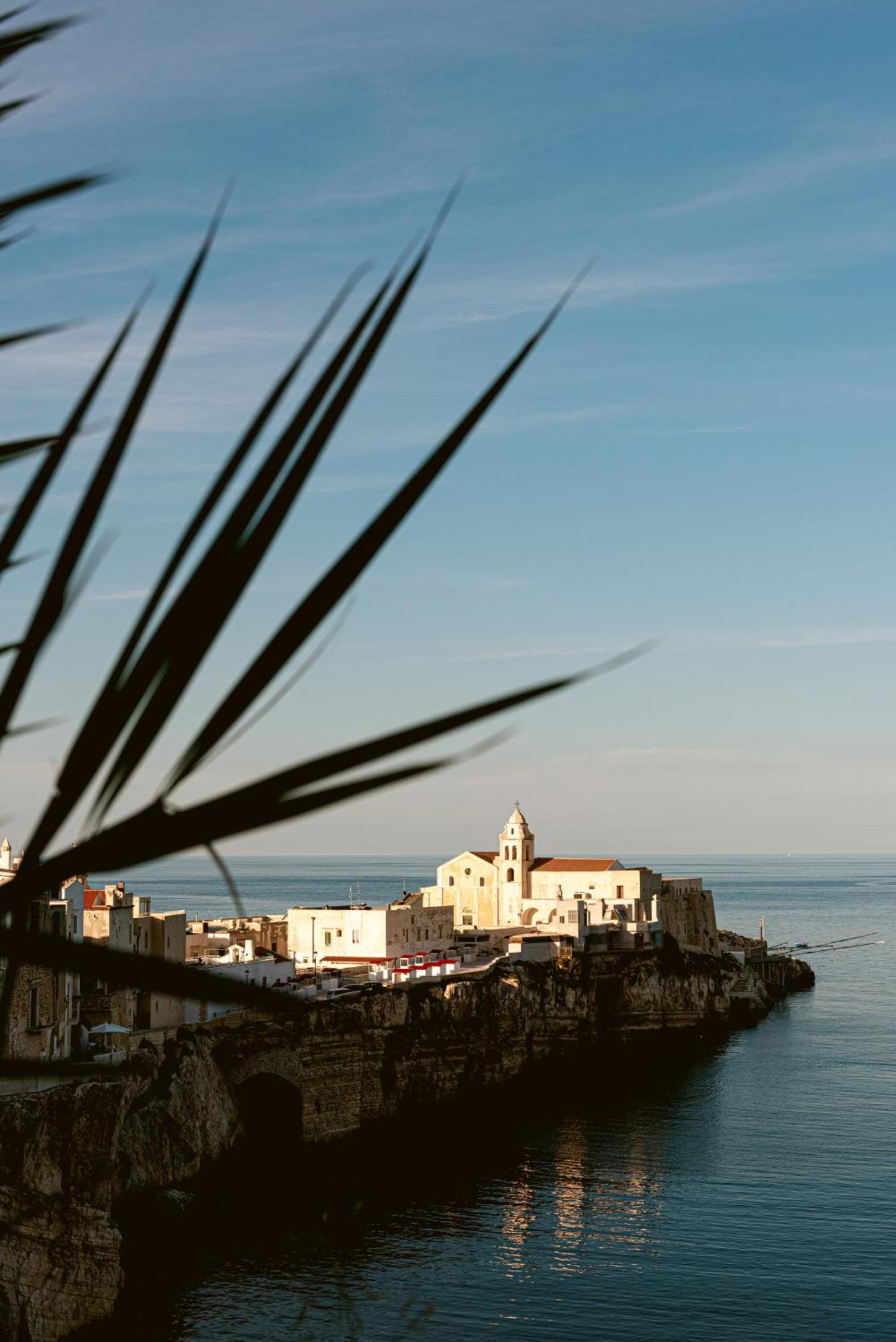 Hotel Degli Aranci Vieste Exteriér fotografie